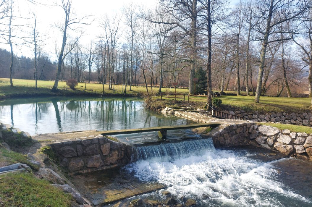 Park pri Cenetovem mlinu