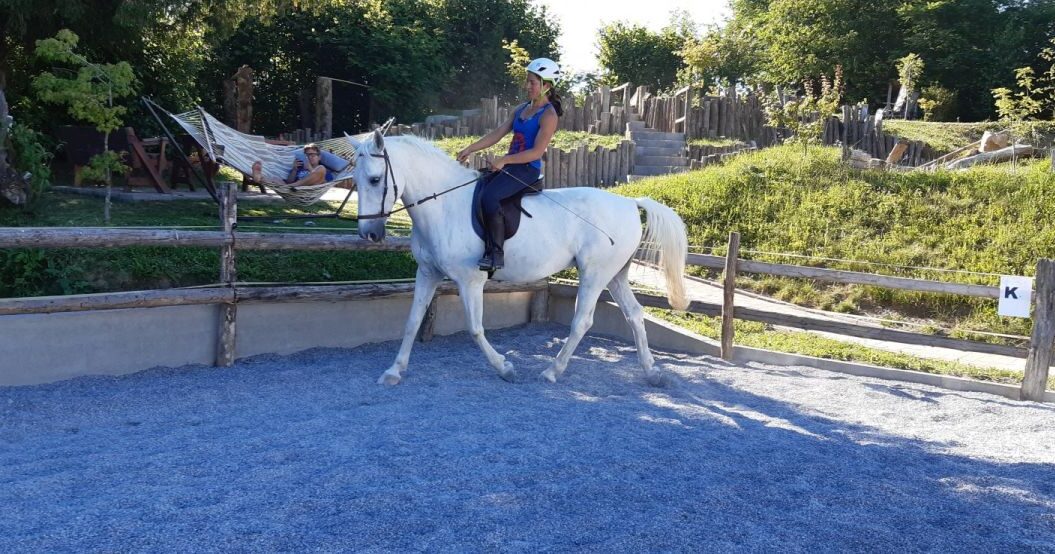Jahanje Lipizzaner Lodge -Horseback riding Lipizzaner Lodge