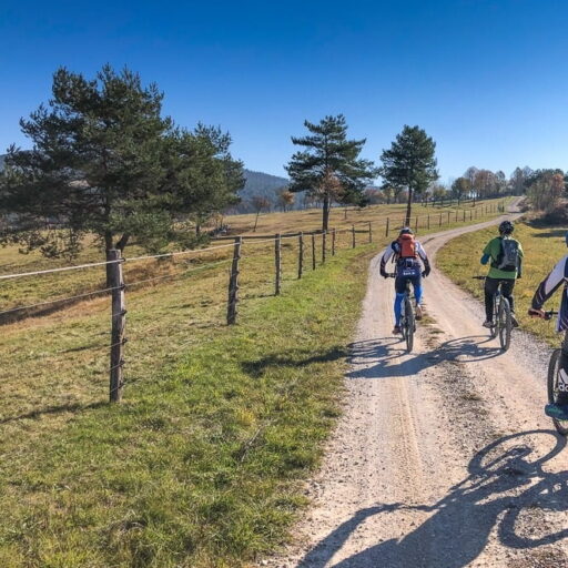 Jelenova kolesarska pot / Jelen Cycling Trail