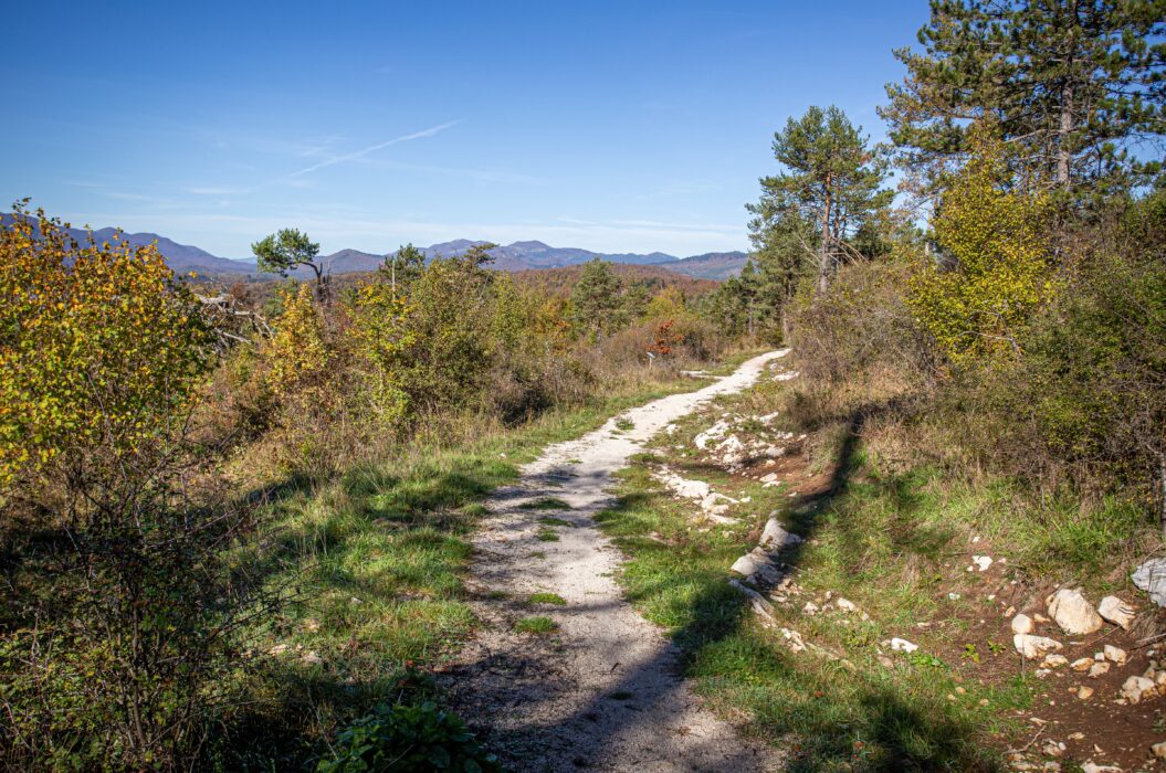 Kolesarska pot Sovič