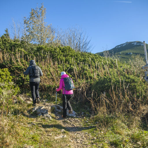 Escursione sullo snežnik