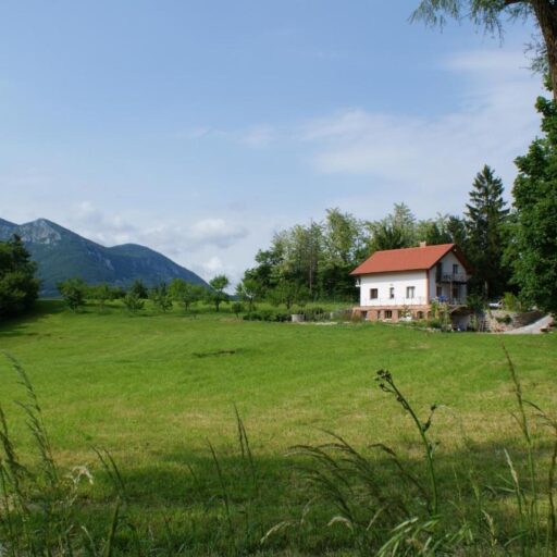 Apartmaji Leni