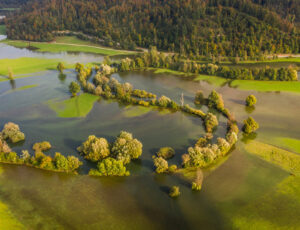 Planinsko polje