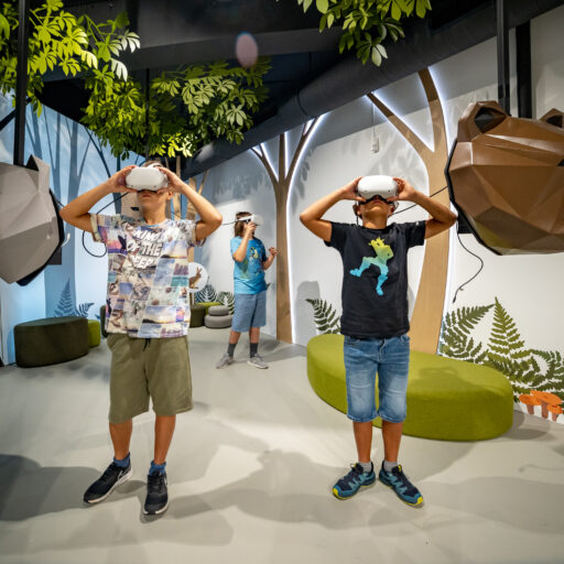 Center o velikih zvereh Dina