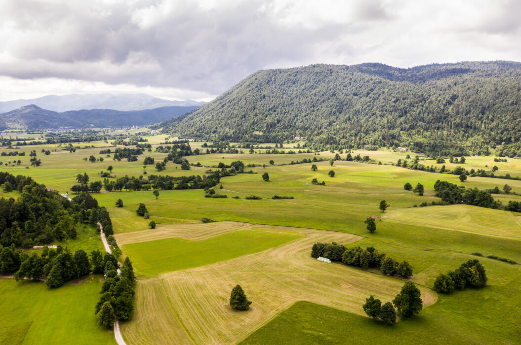 Hiking - Planinska gora