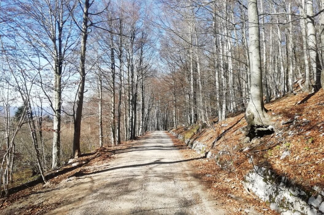 Kolesarska pot Veliki Javornik