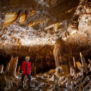 A caver stands inside the Cave beneath Predjama Castle, observing the speleothems as droplets of water fall onto them, continuing the timeless process of their formation.