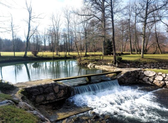 The Pivka River flows over a small weir, creating a gentle waterfall beside a wooden footbridge. The surrounding park-like landscape is dotted with trees and open meadows.