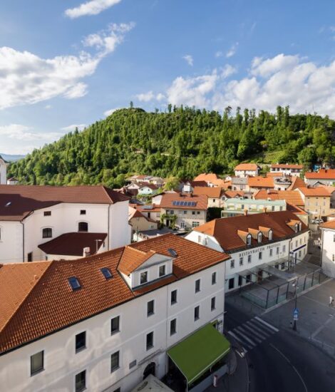 Pogled na mestni hrib Sovič, pod njim pa mestno jedro obdano s ključnimi zgradbami, ki pišejo zgodovino in sedanjost Postojnskega. Od Cerkve Svetega Štefana do mestnega trga in pogled na staro mestno jedro Majlont.