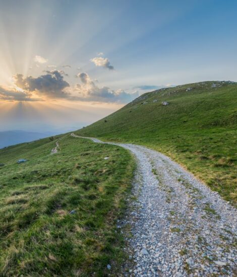 Makadamska pot na Nanosu ob sončnem zahodu, obdana z zelenimi travniki.