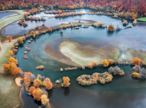 The interplay of water and land in autumn, with water weaving through trees dressed in the vibrant colours of the season.