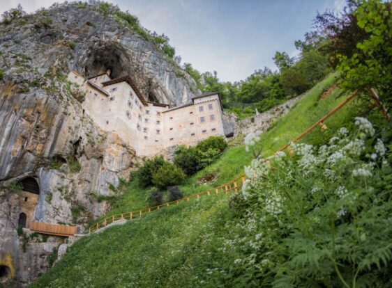 Predjamski grad od spodaj navzgor. Izžareva veličino več kot 80 metrov visoke stene, v katero je grad vpet. Pod njim pa se skriva vhod v podzemni svet Jame pod Gradom.