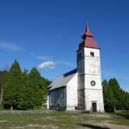 Cerkev sv. Marije na Planinski gori z belimi zidovi in visokim zvonikom z rdečo streho. Obdaja jo travnata jasa in drevesa, nad njo pa je jasno modro nebo.