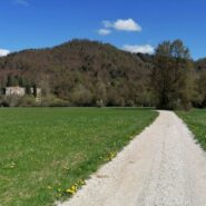 Makadamska pot vodi skozi travnike proti vznožju gozdnatega hriba pri Planini. V daljavi stoji grad Hošperk, okoli pa se razprostira zelena pokrajina.