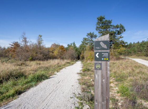 A gravel cycling trail crosses the open landscape beneath Sovič. A wooden wayfinding sign for cyclists stands beside the trail, with trees and low vegetation in the background.