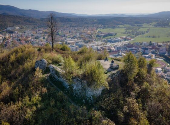 The photograph shows the remains of Adelsberg Castle, also known as Postojna Castle, overgrown with shrubs and lush vegetation. At the summit, a solitary linden tree continues to withstand the passage of time, even after the devastating ice storm, standing as a symbol of the resilience, strength, and perseverance that define the people of Postojna.