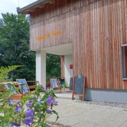 The exterior of Vojko Lodge on Nanos features a wooden facade, a sunny terrace, and outdoor loungers, surrounded by forest.