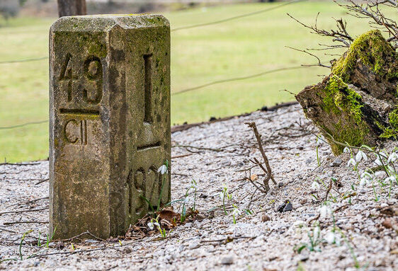 A historic border marker stands along the Historical Trail in Planina at the site of the former border, surrounded by blooming snowdrops, the first flowers of spring.