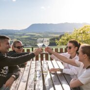 The photograph shows four people sitting around a wooden table on the terrace of Mladika Hut, raising glasses in a toast. Behind them, a panoramic view opens across the green landscape towards the Nanos Plateau under a clear sky. The warm evening light creates a relaxed and welcoming atmosphere.